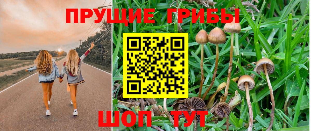 Орск  Галлюциногенные грибы GOLDEN TEACHER  Вход с VPN 